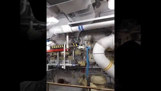 Поход в музей на подводной лодке   Химкинское водохранилище