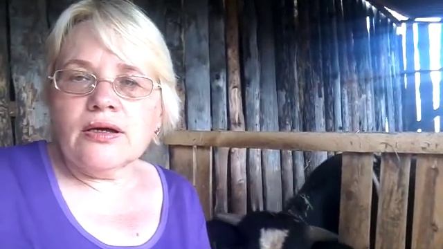 ЛПХ-быть или не быть?!!задушат ли нас налогами?!!