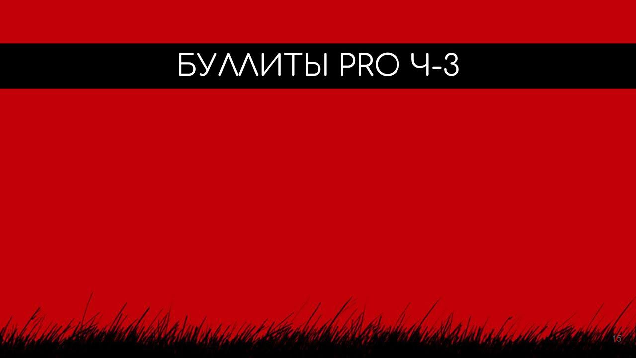 Буллиты PRO Блок 4 Урок 7 Часть 3