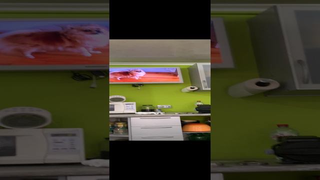 Окак (⁠´⁠ε⁠｀⁠ ⁠)-~🍟