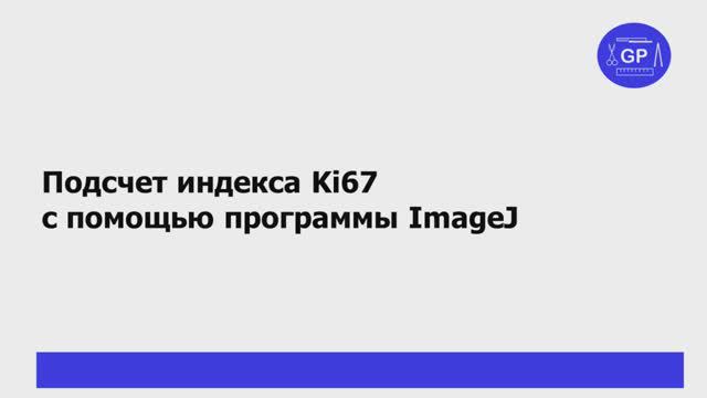Как посчитать Ki67 с помощью программы ImageJ