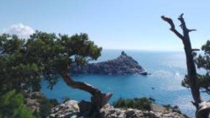 Наталья Назаренко