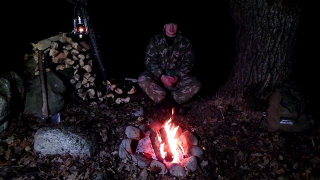 Как избежать нападения зверя. Книга  7