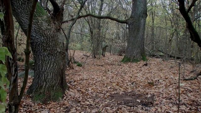 Тактика выживания. Книга 1.