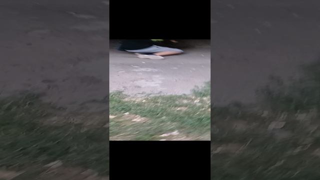 ырка часть 2