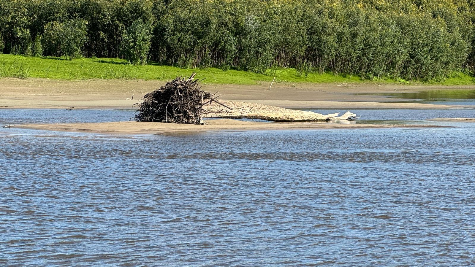 17238f10e935448e19373762148decf5