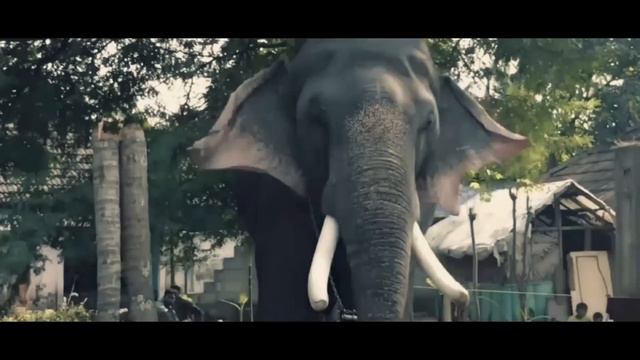 THEKKIN THEVAR | THRIKKADAVOOR SIVARAJU OFFICIAL VIDEO SONG | DELA FRAMES | SUBSCRIBE👍