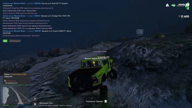Физика и вождение в - GTA 5 RADMIR RolePlay