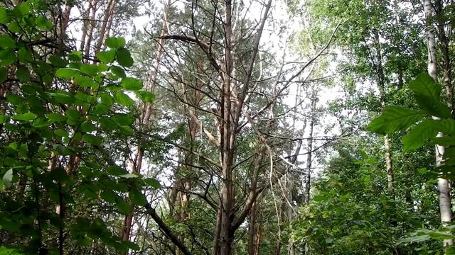 Укрытие без тента и палатки. Книга 4