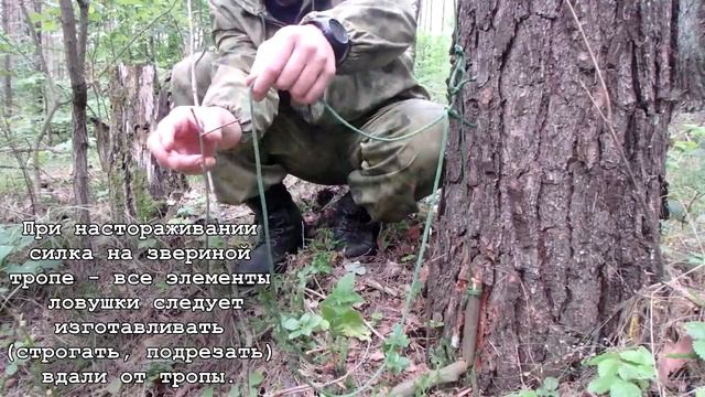 Добывание пищи. Книга 5