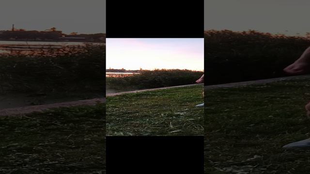 3e20e98679fc8a7adc80da2cb6a6c340