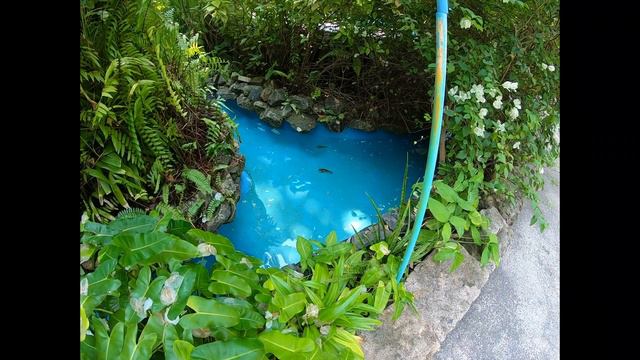 61892cb3730df0221820e08df0b4397b