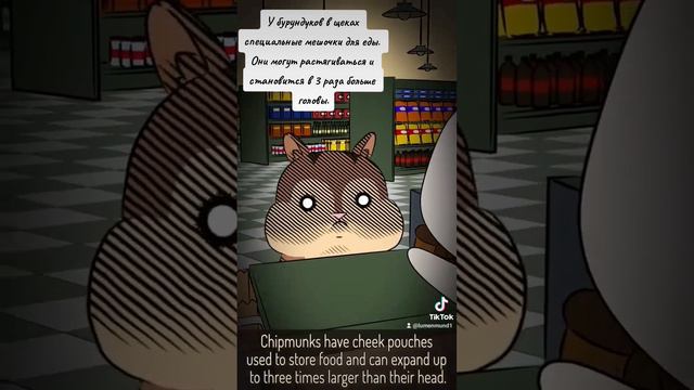 D8432845814ac2c35eb7cc4531c1e059