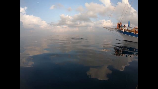 15f23aa6f18b2c77103f4f7459deaf65