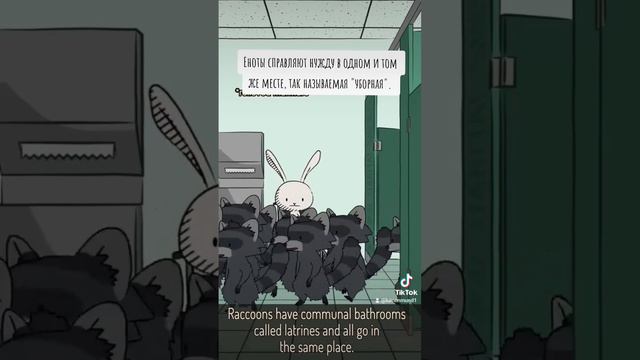 Bc549b6cc9d32b59af062273b1c51c83