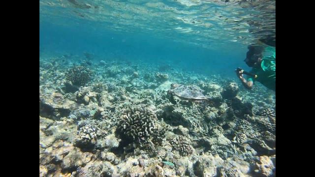 5d7ae54a1f93af6afede9a1985675256