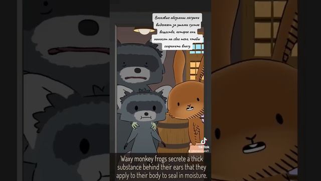 6f0f3333aa4f1ad7f47eb390a0516276