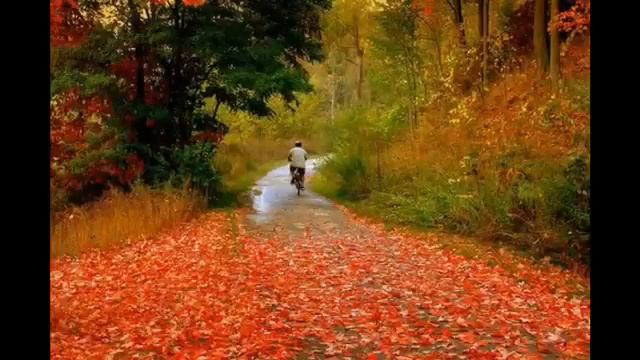 Дарси хадис