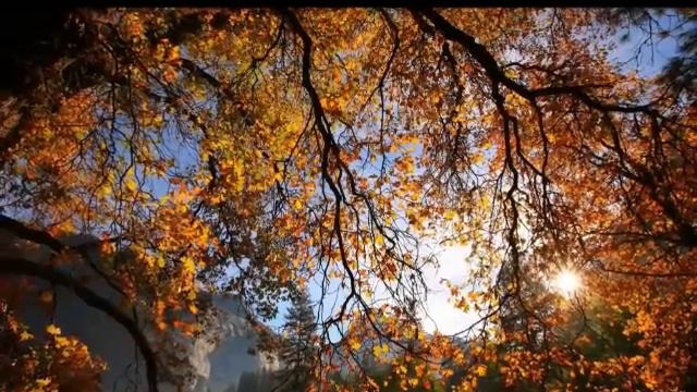 163be48250e05761caed9e31b9635808