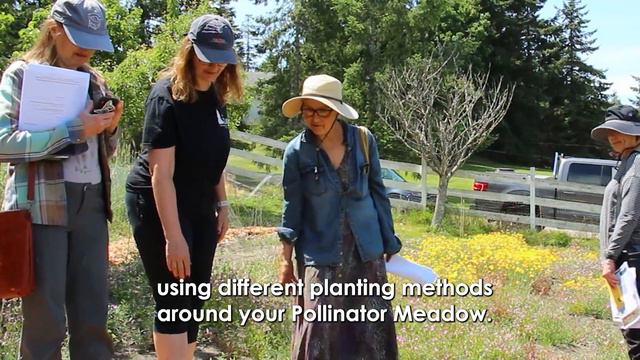 F88a4743215ab7d3d9666b30f0998b6d