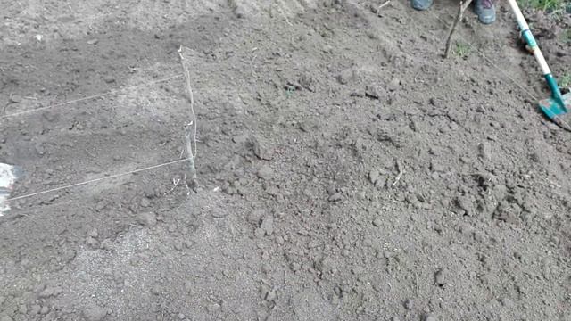 Come Fare L'orto (bancali) #001