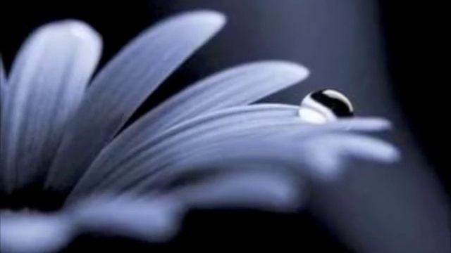 Vita Ornella Ornella Vanoni-karaoke (no Sincro)