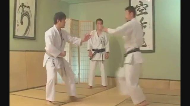 Hirokazu Kanazawa · Shotokan Karate Do · Kumite   YouTube