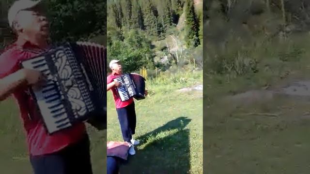 Тагам менин ыр бул Жан дуйнонун азыгы