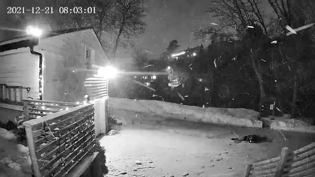 Test Nedis Smart Video Doorbell WIFICDP10GY