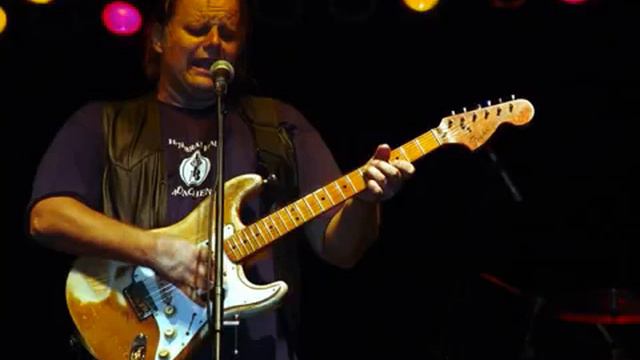 Tender Heart ....Walter Trout