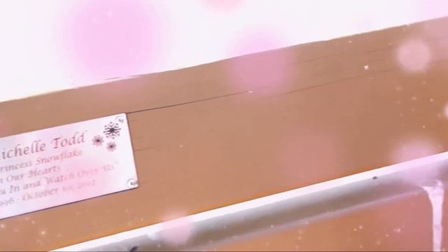 A Bench To Remember Amanda Todd