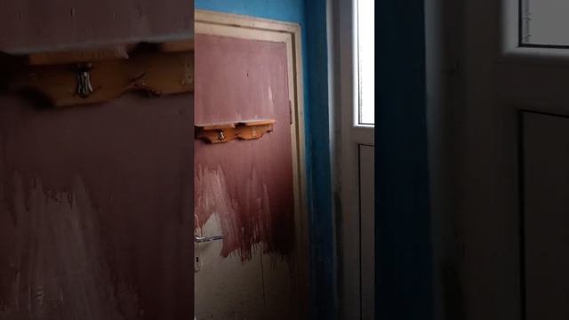 гр. Мизия, в жк. Лазар Драганов