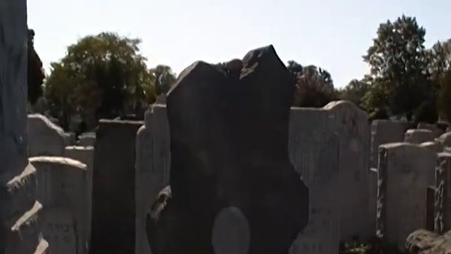 Aaron Slobodsky After Cleanup At Old Montefiore Cemetery On Oct 25, 2011