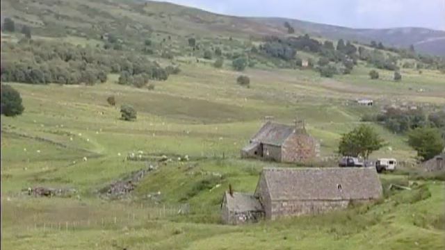 Whispers In The Night. Roger Bennett Tribute. 2007