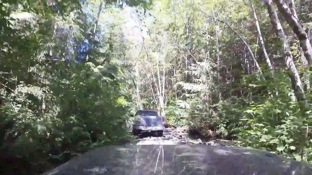 David Suzuki Would Not Be Impressed