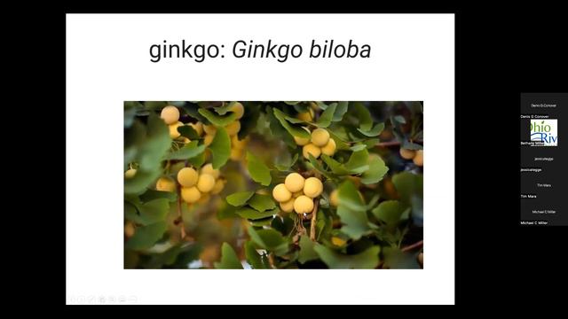 ORV CISMA Webinar - Invasive Invasion: How To Identify Invasive Plants And Stop Them.