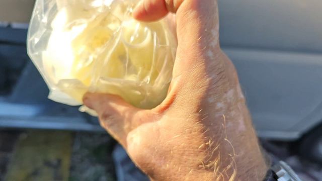 A9e4fe454a6ba80ae2f02be6d4133ab6