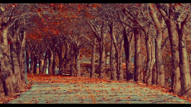 Pining For Poetry: The Wind By Tere Carandell Sarabia