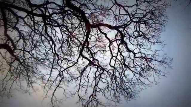 Mondi Interiori, Mondi Esteriori - Parte 2 - La Spirale