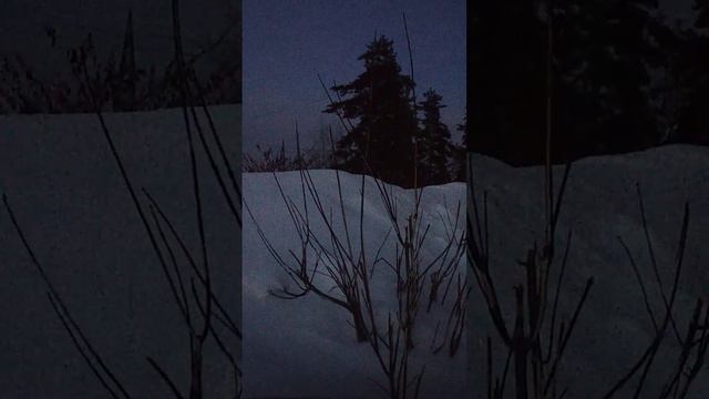 13.01.2024 г.V!!! Из репертуара ЮБИЛЯРА ...