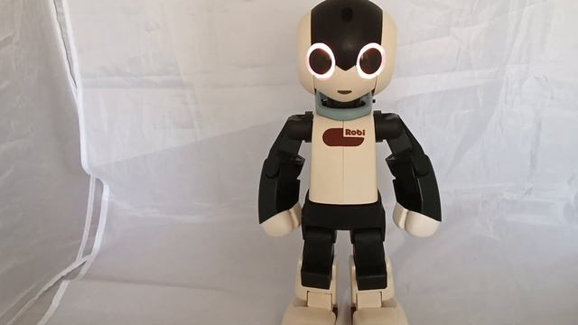 Robi Il Robot Giapponese De Agostini Funzionalità