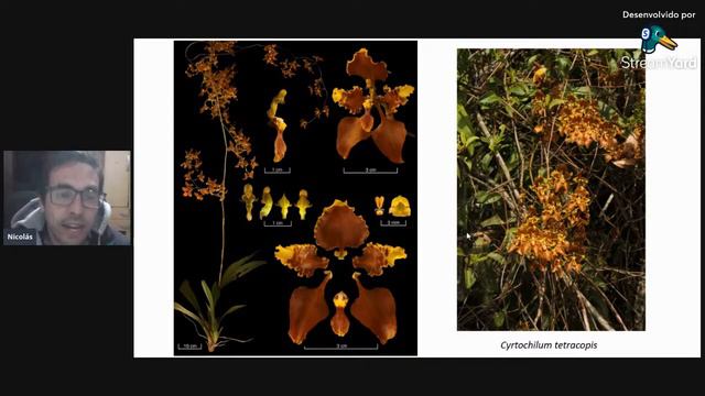 Diversidade Das Orquídeas Da Colômbia, Um Estudo De Caso Nos Andes Orientais