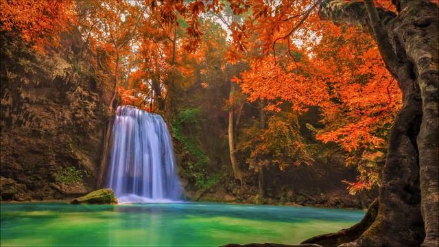 Careless Whisper Instrumental - George Michael (Emily Hastings And Warleyson Almeida)