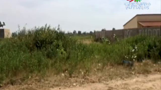 Creando Futuros Por El Derecho Universal A La Educación