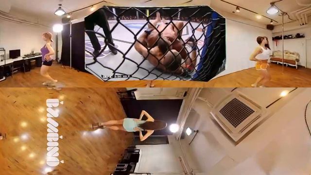 Alistair Overeem Vs Antonio Silva FULL FIGHT