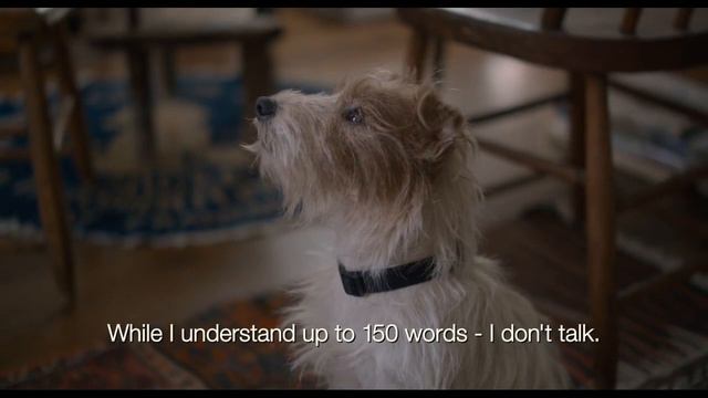 8dec4f41f3bf08798c2a4ebcc06e76d3