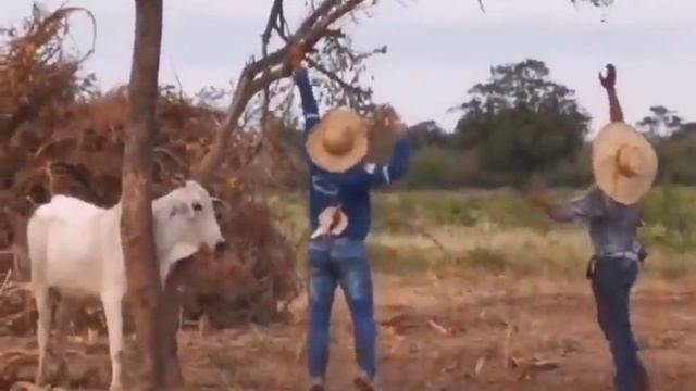 Dc83750ed0fb88a1766c9976e6922343