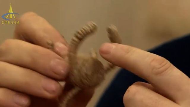 Ночь искусств в Детской школе искусств им.С.И.Мамонтова.