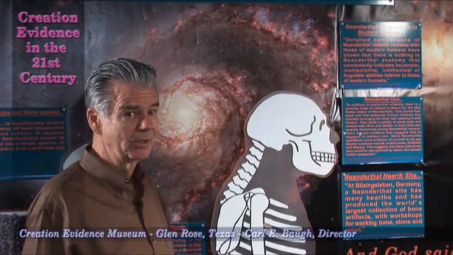 Evolutionless - Ep 14 Deception Continues