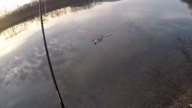 Walleye Fishing Jigging With Rippin Raps And Swim Baits On The Susquehanna River